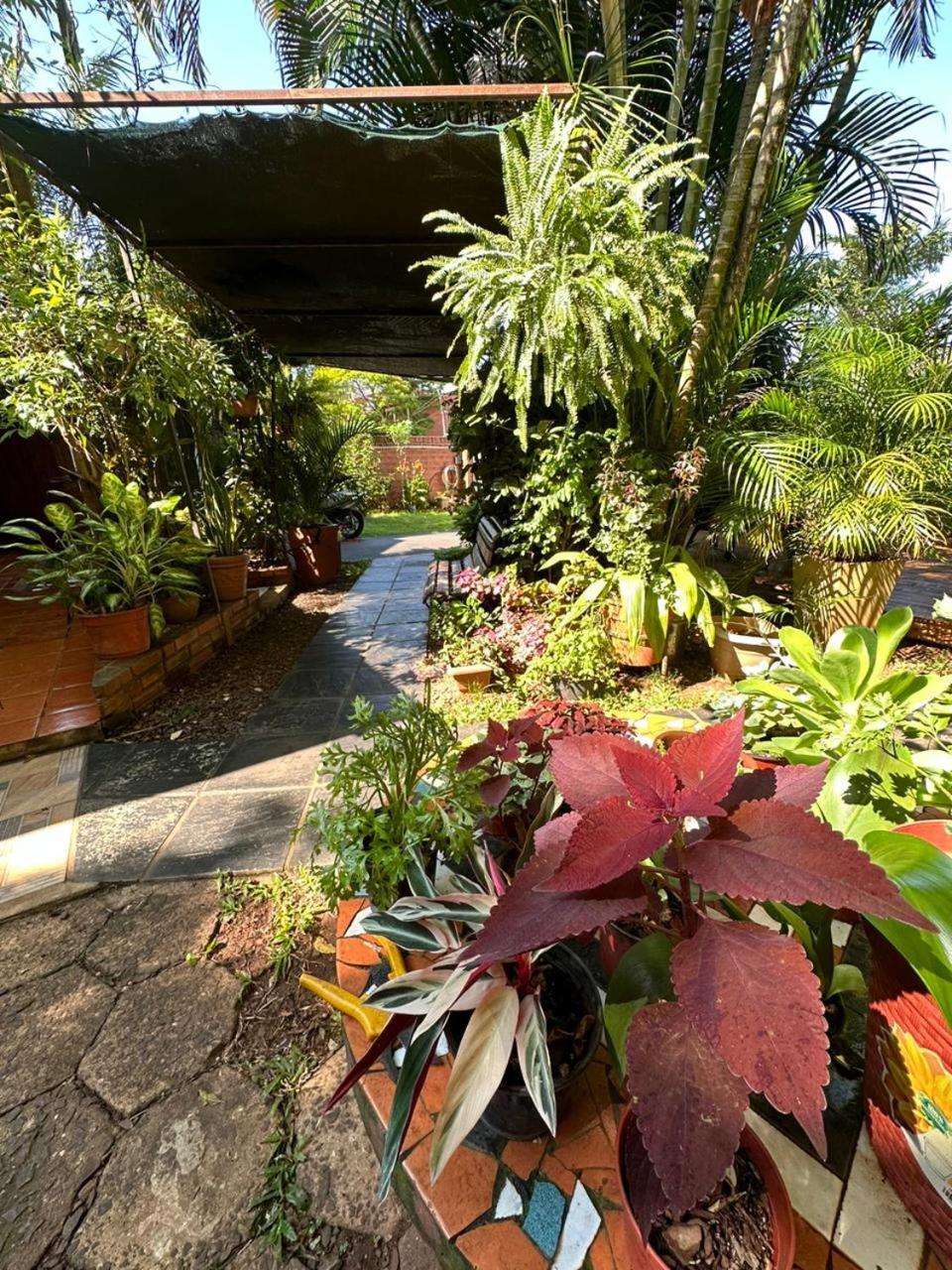 Posada Portal Del Iguazu Puerto Iguazu Bagian luar foto